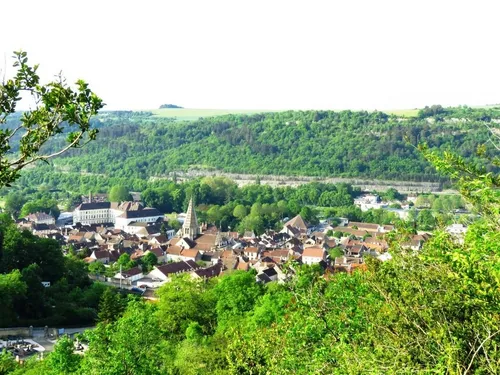 Plombières-lès-Dijon : la rivière du Neuvon polluée ?